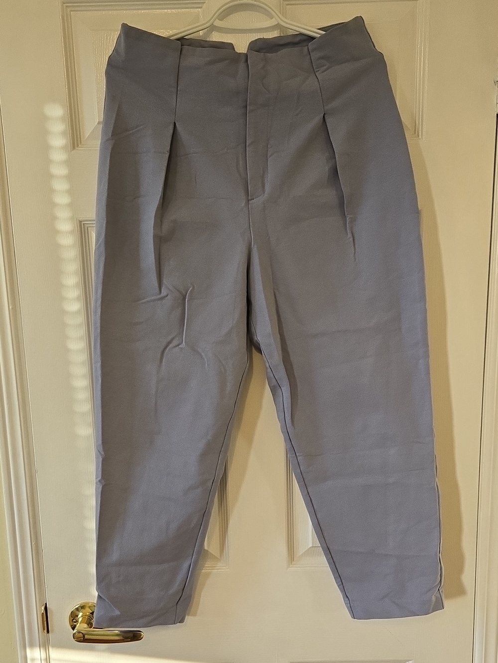 H&M Men's Pleated Tapered Pants - Light Gray